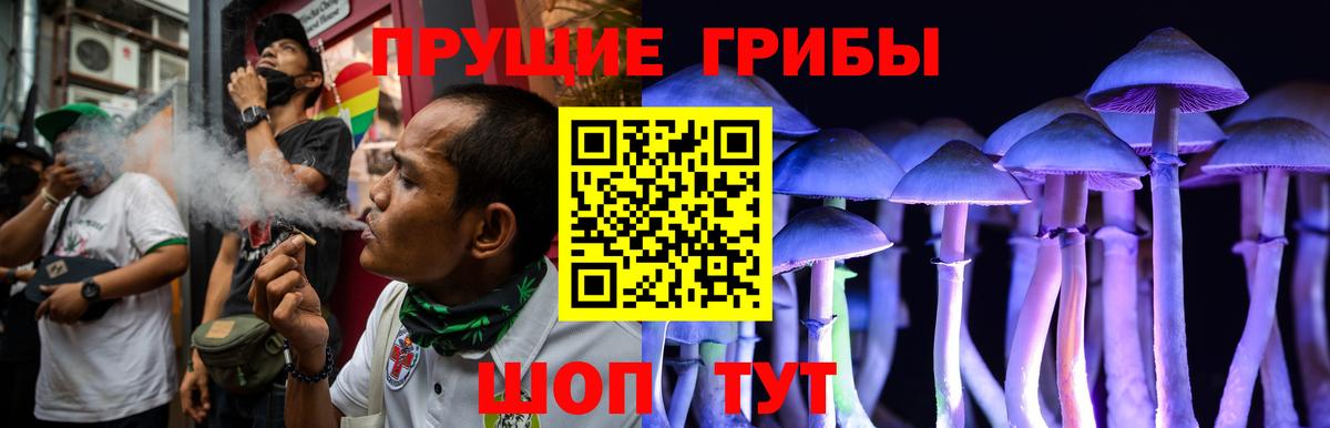 Галлюциногенные грибы ЛСД  Вход с VPN  Ростов-на-Дону  где продают   Псилоцибиновые грибы Psilocybine cubensis 